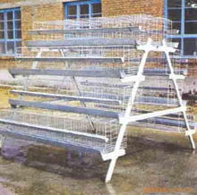 专业供应金属网鸡笼与雏鸡笼——河北安平安祥金属网制品厂石笼网产品解析